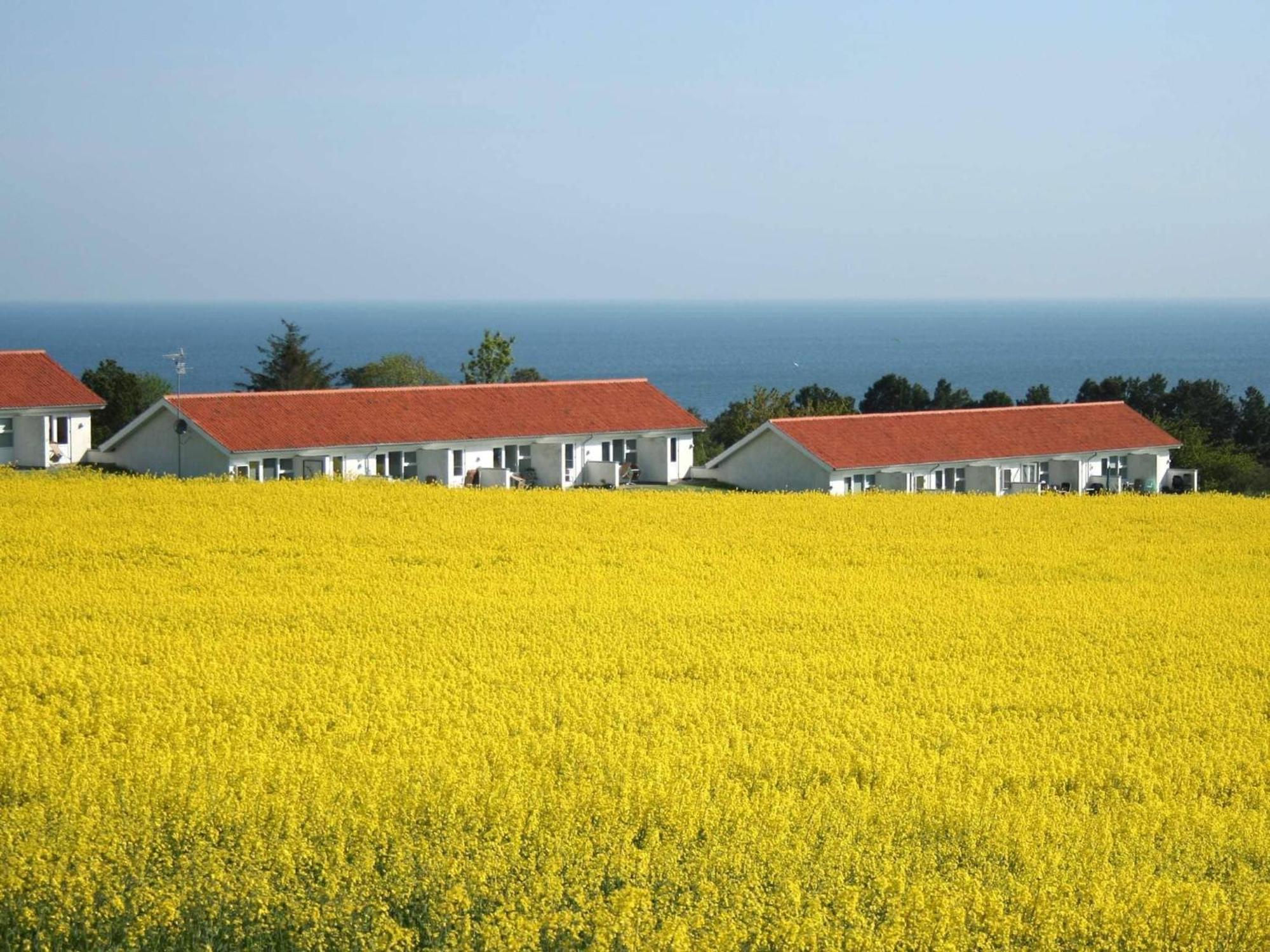 2 Person Holiday Home In Allinge Екстер'єр фото